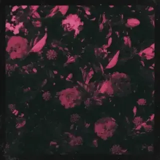 Listen To "Yearn" icon